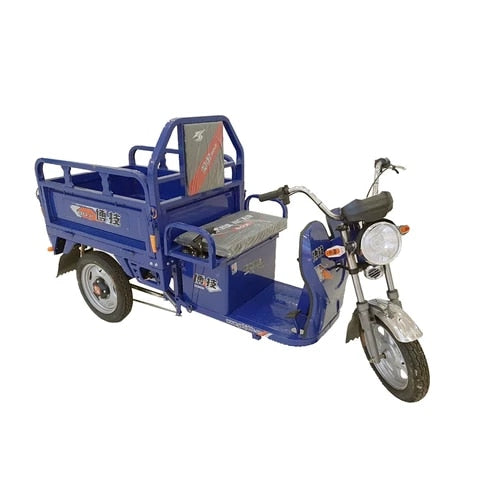 Old Age Pull Cargo Climbing Electric Tricycle E-Bike