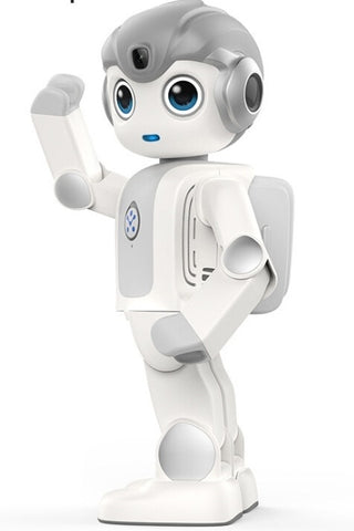 Gantch Smart  Home Management & Education Companion Humanoid Robot