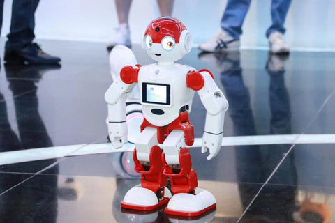 Programmable Humanoid Smart Robot with SDK