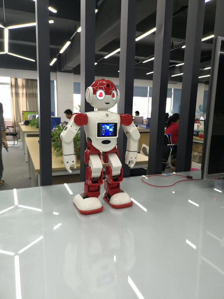 Programmable Humanoid Smart Robot with SDK