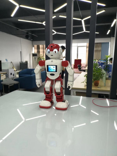 Programmable Humanoid Smart Robot with SDK